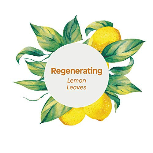 ATITUD BDY/CRM REGENRTNG ( 1 X 8 OZ )-4
